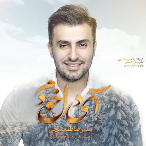 دانلود آهنگ دلنشین آی دل خودم از علیرضا طلیسچی
