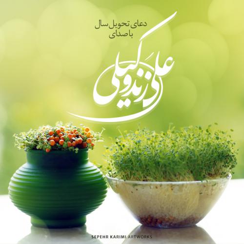 دانلود موزیک زیبای دعای تحویل سال از علی زندوکیلی