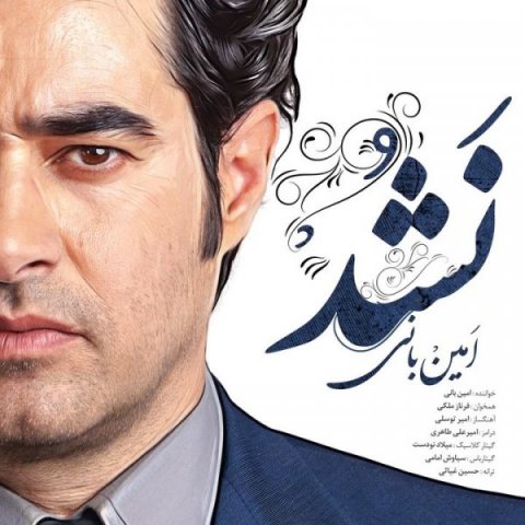 امین بانی  -  دانلود آهنگ دلنشین نشد
