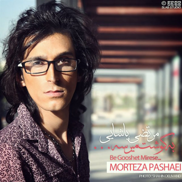 مرتضی پاشایی -  دانلود موزیک زیبای به گوشت میرسه