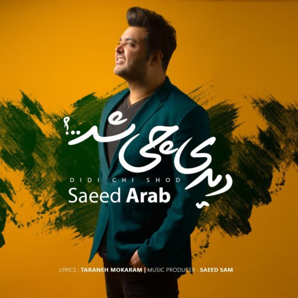 سعید عرب -  دانلود آهنگ زیبای دیدی چی شد