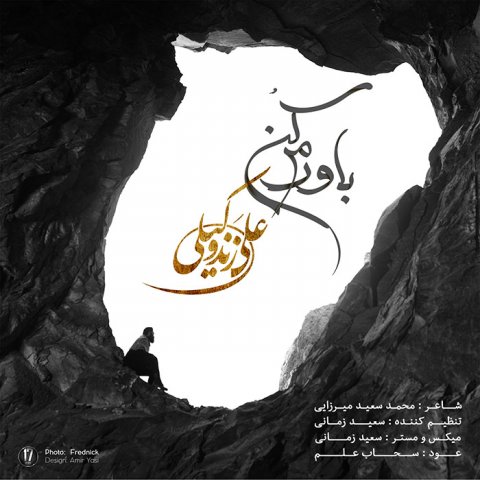 علی زندوکیلی  - دانلود آهنگ باورم کن