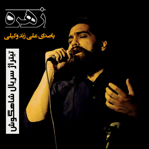 دانلود آهنگ زیبای زهره از علی زندوکیلی