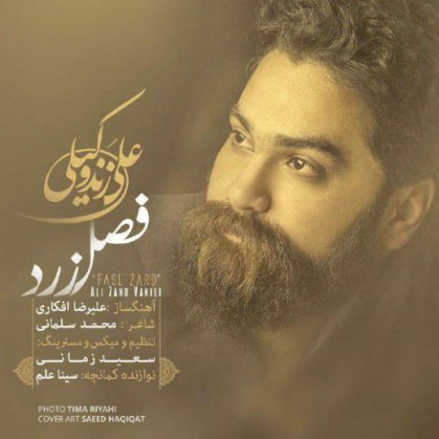 دانلود آهنگ فصل زرد از علی زندوکیلی