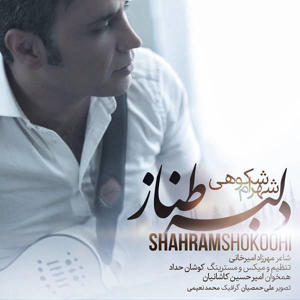 شهرام شکوهی -  دانلود آهنگ زیبای دلبر طناز