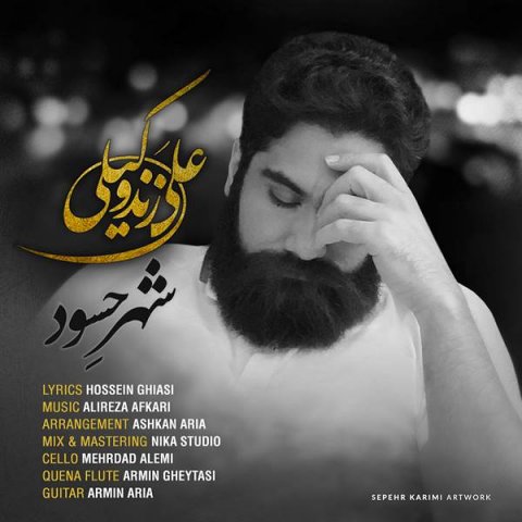 دانلود موزیک زیبای شهر حسود از علی زندوکیلی